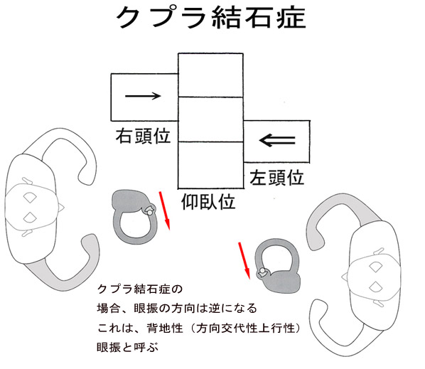 医療法人 野上耳鼻咽喉科医院